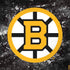 NHL Boston Bruins Iced MacBook Skins