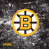 NHL Boston Bruins Iced PS4 Console and Controller Bundle Skin