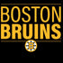 NHL Boston Bruins Lineup Nintendo 2DS XL (2017) Skin