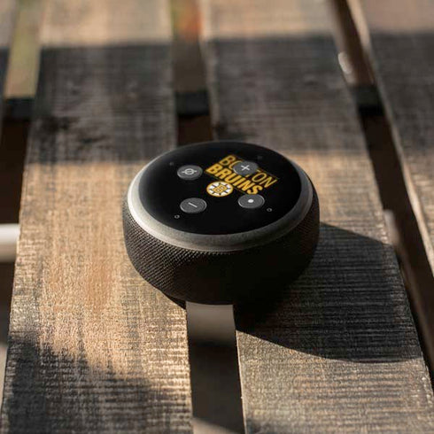 NHL Boston Bruins Lineup Amazon Echo Dot Skin