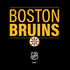 NHL Boston Bruins Lineup Amazon Echo Skin