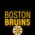 NHL Boston Bruins Lineup iPhone X Skin