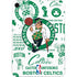 NBA Boston Celtics Historic Blast Apple iPad Mini Skin