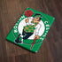 NBA Boston Celtics Large Logo Apple iPad Skin