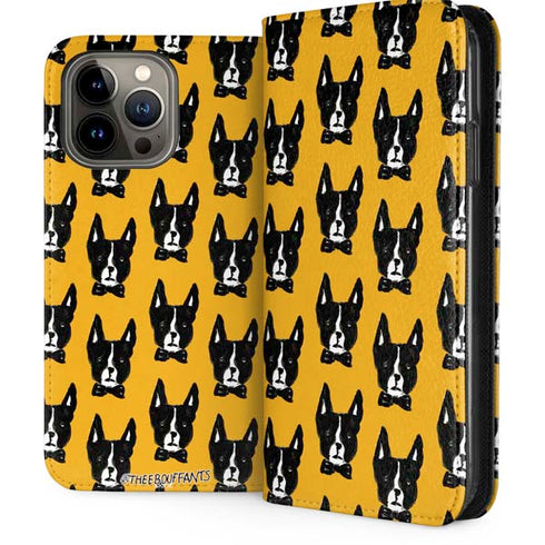 Bouffants and Broken Hearts Boston Terrier iPhone Cases