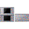 Bouffants and Broken Hearts Bouquets Print DS Lite Skin