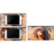 Bravery Misplaced Dragon and Knight by Ed Beard Jr DS Lite Skin
