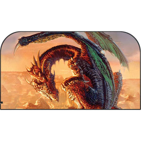 Bravery Misplaced Dragon and Knight by Ed Beard Jr Nintendo Switch 2 (2025) with Joy-Con Skin