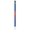 Boise State University Broncos Apple Pencil (1st Gen, 2017) Skin