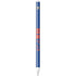Boise State University Broncos Apple Pencil (1st Gen, 2017) Skin
