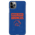 Boise State University Broncos iPhone Cases