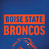 Boise State University Broncos Moto G6 Skin