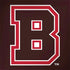 Brown University B Logo Dell Latitude Skin