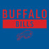 NFL Buffalo Bills Blue Performance Series PS4 Console and Controller Bundle Skin