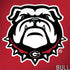 University of Georgia Bulldogs Logo PlayStation 4 Gold Wireless Headset Skin