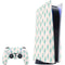 Bouffants and Broken Hearts Cacti 3 PlayStation PS5 Skins