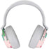 Cactus Print Surface Headphones Skin