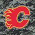 NHL Calgary Flames Camo PS4 Console and Controller Bundle Skin