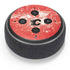 NHL Calgary Flames Frozen Amazon Echo Dot Skin