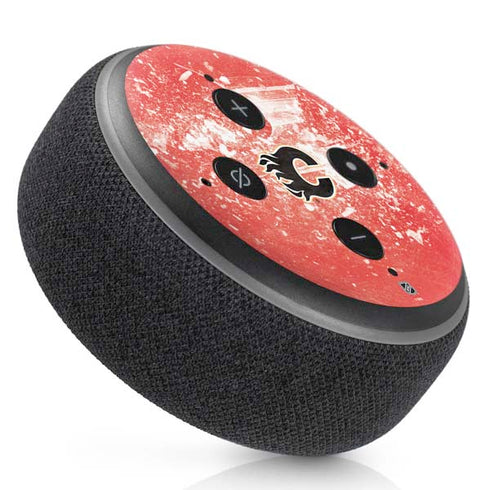NHL Calgary Flames Frozen Amazon Echo Dot Skin