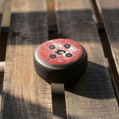 NHL Calgary Flames Frozen Amazon Echo Dot Skin