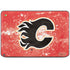 NHL Calgary Flames Frozen HP Chromebook Skin