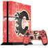 NHL Calgary Flames Frozen PlayStation PS4 Skins