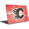 NHL Calgary Flames Frozen Dell XPS Skin