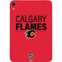 NHL Calgary Flames Lineup Apple iPad Mini Skin