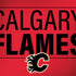 NHL Calgary Flames Lineup MacBook Skins