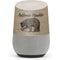 Cali Republic Vintage Google Home Skin