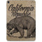Cali Republic Vintage Apple iPad Pro Skin