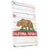 California Flag Light Wood Apple iPad Skin