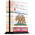 California Flag Light Wood PlayStation PS4 Skins