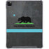 California Neon Republic iPad Cases