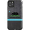 California Neon Republic iPhone Cases