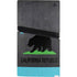 California Neon Republic PS5 Pro Console Skin