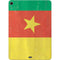 Cameroon Flag Distressed Apple iPad Air Skin