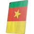Cameroon Flag Distressed Apple iPad Air Skin