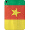 Cameroon Flag Distressed Apple iPad Mini Skin