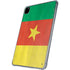 Cameroon Flag Distressed iPad Pro 11in (2024) Clear Case