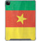 Cameroon Flag Distressed iPad Cases