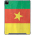 Cameroon Flag Distressed iPad Cases