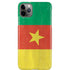 Cameroon Flag Distressed iPhone Cases