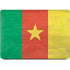 Cameroon Flag Distressed Apple MacBook Air Skin