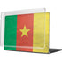 Cameroon Flag Distressed MacBook Pro 14in (2021-24) Case plus Skin