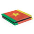 Cameroon Flag Distressed PlayStation PS4 Skins