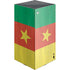 Cameroon Flag Distressed XBox Series X Digital Edition Console Skin