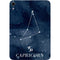 Capricorn Constellation Apple iPad Mini Skin