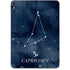 Capricorn Constellation Apple iPad Pro Skin